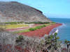 ilha galápagos: 