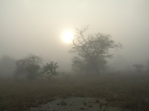 foggy day: none