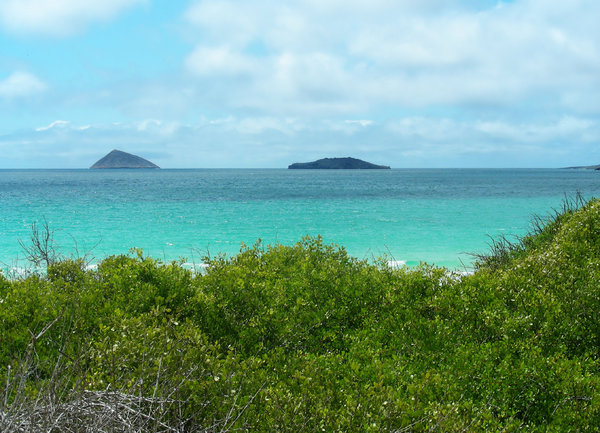 galapagos island: none