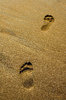 Footsteps: Footprints in the sand