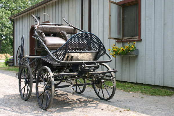 Marathon Horse Cart: A marathon cart used for driving horses 