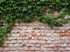 brickwall texture 45: Series of various brickwalls or brick-based walls. There are more than 50 unique textures with old and new bricks, with and without cracks, half-timbered walls, different lights etc etc and very small grid distortion.Check out all my brickwalls on SXC:htt