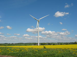 windmolens en geel veld 2: 