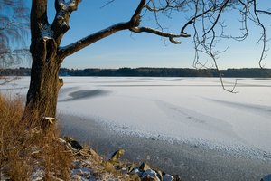 Winter Lake: Lake in southern Sweden (Örkelljunga, Skåne).