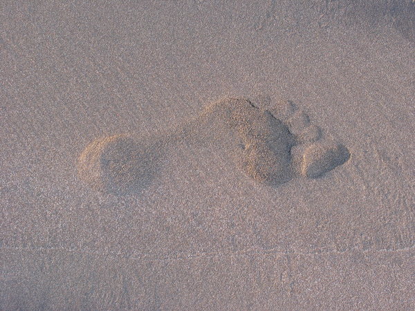 footprint on sand: footprint on sand