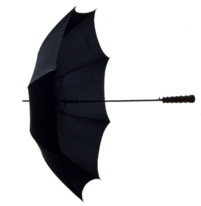 paraguas: 