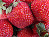 strawberry red: a punnet of ripe strawberries