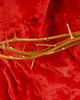 crown of thorns: crown of thorns on red cloth background