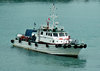 harbour support vessel: small harbour support vessel and fireboat