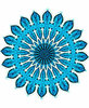blue star flower: 