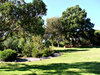 memorial park: memorial park gardens and ponds