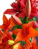 lily display7: colourful bunch of oriental lilies opening up