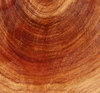 texturas woodgrain: 