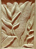 sculpted wall ornament: sculpted garden wall ornament of leaf varieties