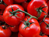 vine ripened tomatoes6: large firm standard round tomatoes in vine clusters
