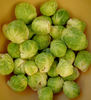Brussels sprouts1: fresh raw Brussels sprouts trimmed and cleaned ready for cooking