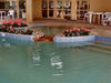 indoor swimming4: heated indoor swimming pool facilities