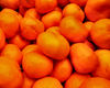 taste of mandarin2: tasty & juicy fresh mandarins