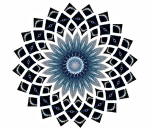 flor de la estrella azul: 