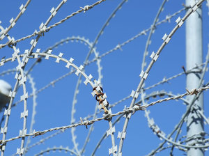 barbed and razor wire: razor wire  and barbed wire, barricade - security fence