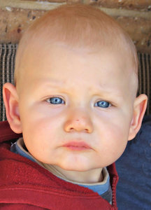 I'm not too sure about that: young blonde-haired, blue-eyed, boy with expressive face