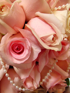 rose bouquet4: 