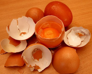 broken egg shells9: fragile broken egg shells