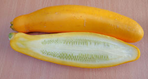 vegetable colours8b: yellow-zucchini