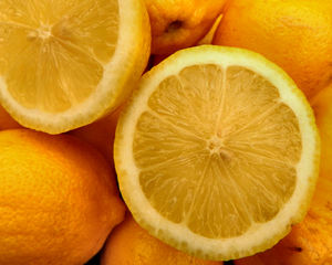 Schüssel lemons6: 