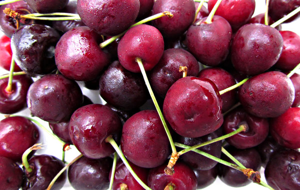 fresh cherries: tray of washed fresh cherries