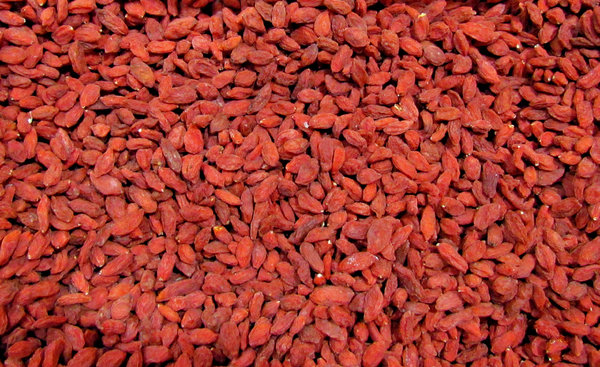 dried goji berries: bulk quantities of dried goji berries