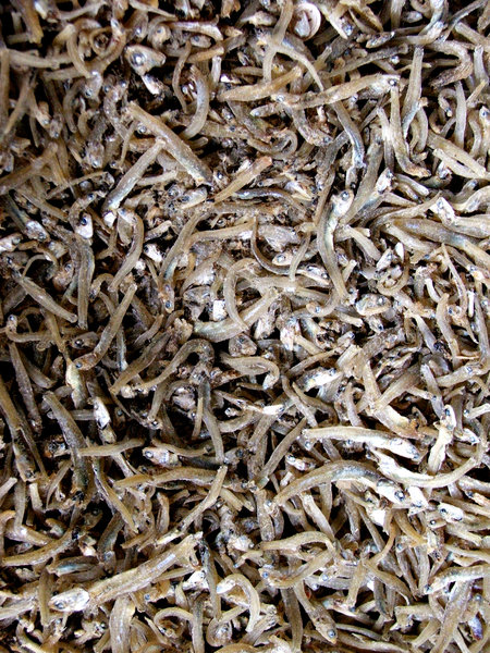 dried white bait, Free stock photos - Rgbstock - Free stock images, TACLUDA