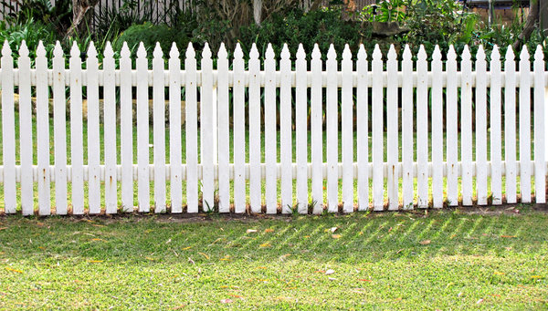 white picket fence: wooden white picket fence