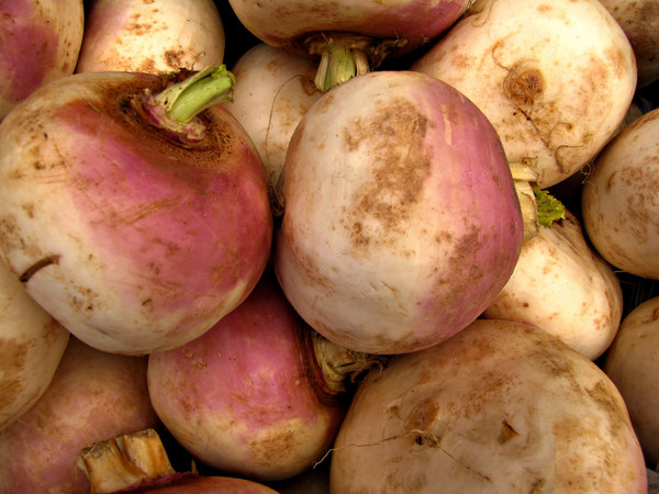turnip purple: 