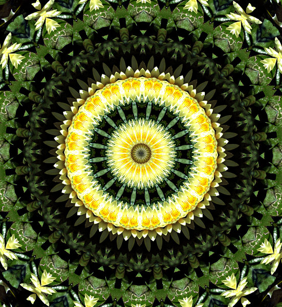 lilly pad gold: abstract backgrounds, textures, patterns, geometric patterns, kaleidoscopic patterns, circles, shapes and  perspectives from altering and manipulating image