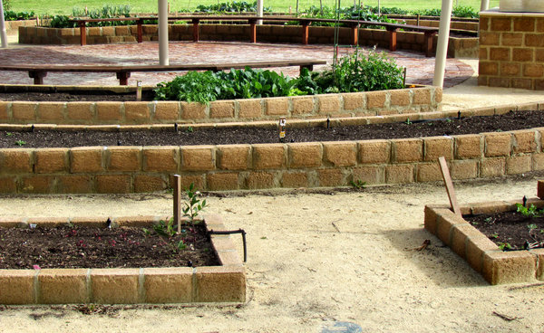 community garden: various plants in community garden plots