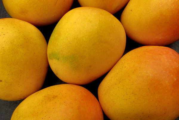 mango colour3: colourful golden ripe fresh mangoes