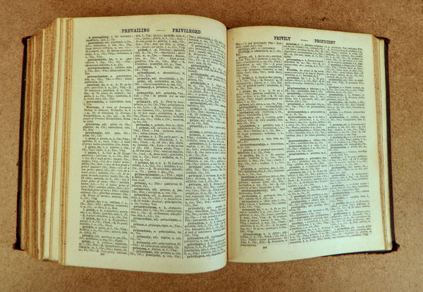 oude Latijnse school dictionary3: 