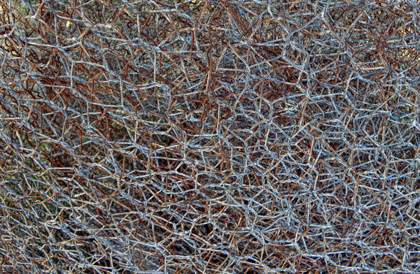 chicken wire mesh mess: galvanised and rusted chicken wire bundled & bunched together