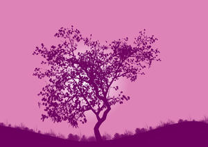 Tree silhouette: Tree silhouette
