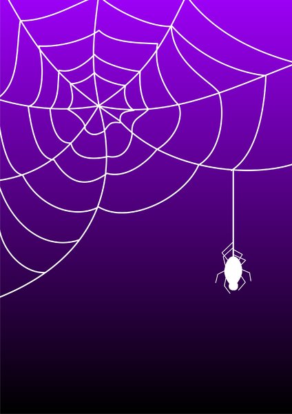 Spinnennetz: 