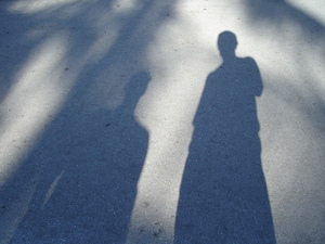 shadow 1: shadow