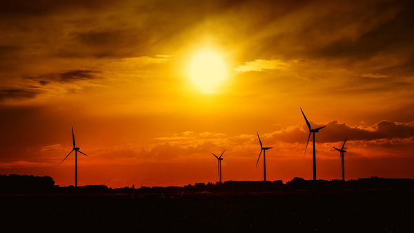 Windmills: Wind turbines farm at sunset