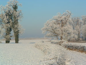 Inverno em holland: 