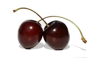 Cherry: No description