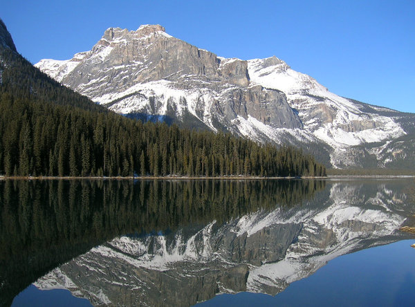 Mirror Mirror 1: Emerald lake nestled in the Rocky Mountains of British Columbia, Canada.