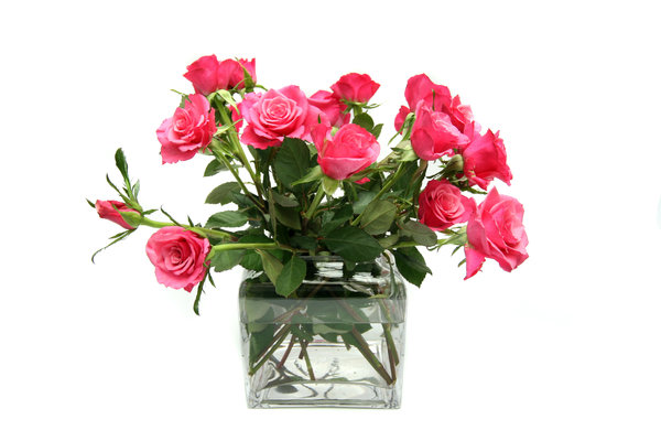 rozen in een vaas: 