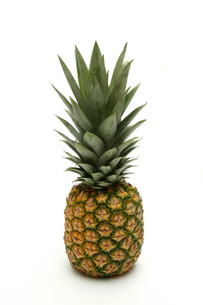 Pineapple: Visit http://www.vierdrie.nl