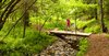 To Grandma's house: My daughter crossing a brook to a winding path through the woods in Wolfville, Nova Scotia, Canada