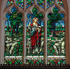 The Good Shepherd: Stained Glass at an Anglican Church downtown Halifax, Nova Scotia